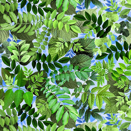 Michael Miller Hydrangea Dreams Spring Leaf DCX11761-LODE-D