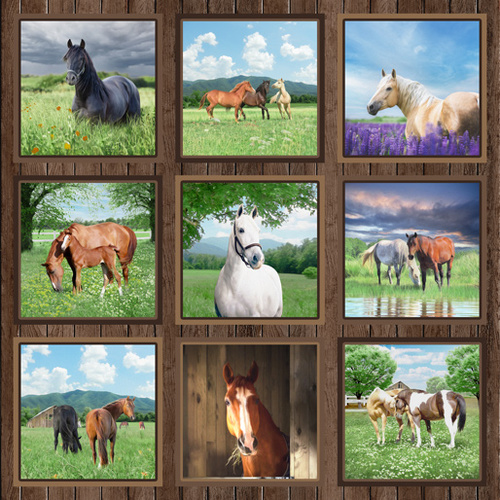 Horses Life Horses Blocks 44" Quilt Panel