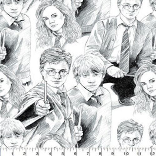 Fabric Remnant- Licensed Harry Potter Sketch 73cm