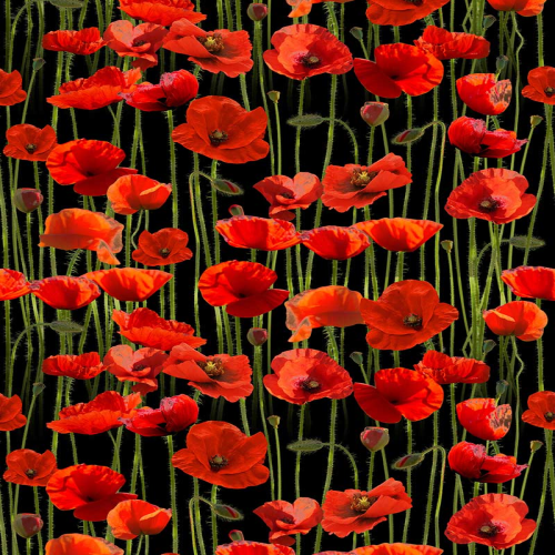 Fabric Remnant- Remembering ANZAC Poppies 59cm