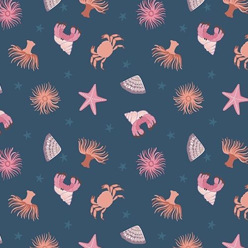 Super Sale Small Things Rock Pool Crabs Shells LEM17 003