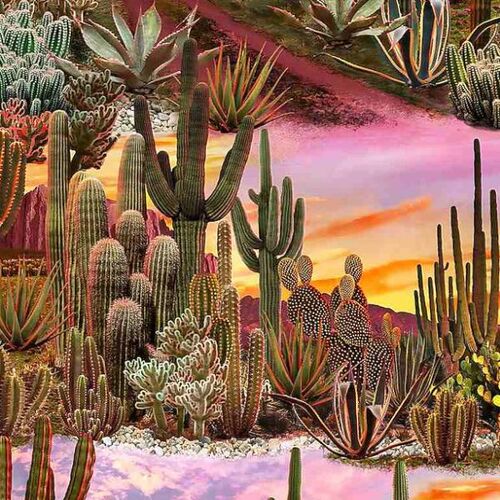 Super Sale Desert Sky Cactus Multi TTC6804 