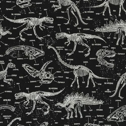 Super Sale Glow Dinosaur Skeletons Bones Words TTCG5797