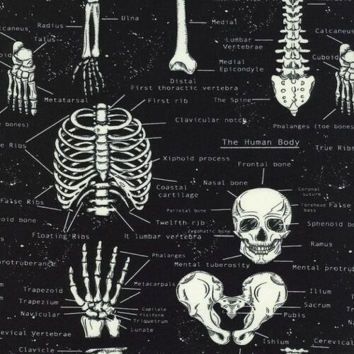 Super Sale Skeletons Human Body Words Black TTCG9810