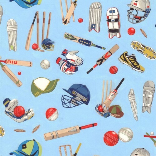 Fabric Remnant -Howzat All Rounder Cricket Equipment 28cm