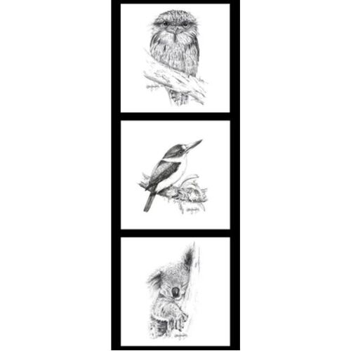 NJP Wildlife Tawny Frogmouth Kingfisher Koala Panel DV3713