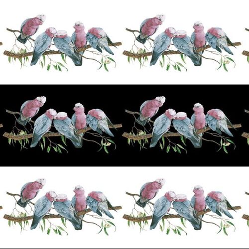 NJP Wildlife Art Australian Galahs Border Stripe DV3721