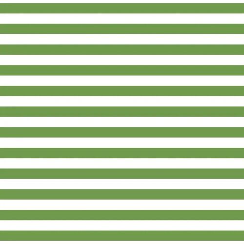 Devonstone Fundamentals 1/2" Stripe Crocodile Green DV2877