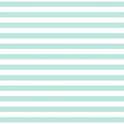 Devonstone Fundamentals 1/2" Stripe Seafoam DV2872