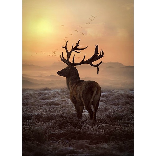 Super Sale Call Of The Wild Deer 36" Panel HT4957 151  