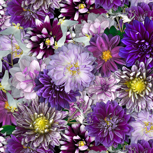 Super Sale Tina's Garden Digital Purple Dahlias Purple Y3678-27 