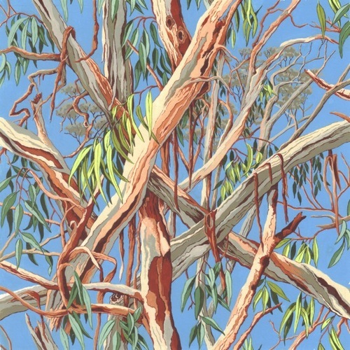 Fabric Remnant -Australian Native Eucalyptus Gumtrees 66cm