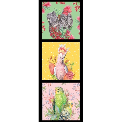 Kayla Reay Cockatoos, Budgies Bird Panel DV6457