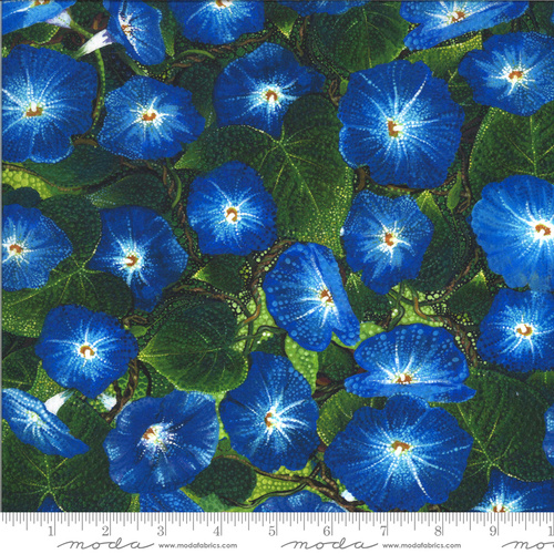 Fabric Remnant -Dreamscapes Digital Morning Glory 43cm